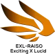 Логотип EXL-RAISO