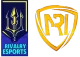 Логотип Rivalry NRI