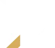 Логотип Disruptors