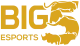Логотип Big 5 Esports