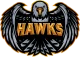 Логотип Hawks