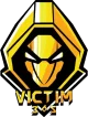 Логотип VICTIM365