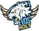 Логотип EVOS Holy