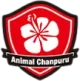 Логотип Animal Chanpuru