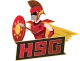 Логотип HSG