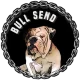 Логотип Bull Send