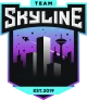 Логотип Team Skyline Esports