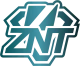 Логотип ZennIT Orange GC