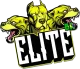 Логотип ELITE BR BLACK