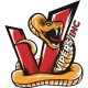 Логотип Vipers Inc