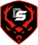 Логотип DS Gaming