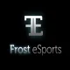 Логотип Frost-eSports