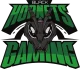 Логотип Black Hornets Gaming