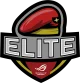 Логотип ASUS ROG ELITE