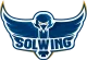 Логотип Solwing Esports