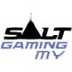 Логотип Salt Gaming MY
