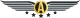 Логотип ACE Gaming