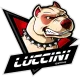 Логотип Luccini
