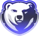 Логотип Northern Gaming Blue