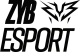 Логотип ZYB