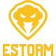 Логотип ESTORM