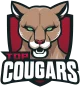 Логотип Top Cougars