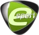 Логотип Team Acer