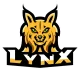 Логотип Lynx