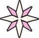 Логотип NORTHSTAR