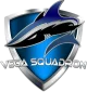 Логотип Vega Squadron