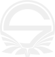 Логотип Team Singularity