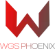 Логотип World Game Star Phoenix