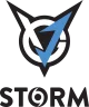 Логотип VGJ.Storm