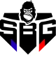Логотип SBG