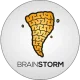 Логотип Brain Storm