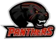 Логотип THE PANTHERS