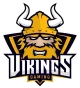 Логотип Team ViKiNGS