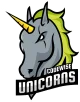 Логотип Codewise Unicorns