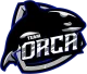 Логотип Team Orca
