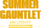 Изображение Summer Gauntlet VALORANT Invitational