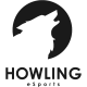 Изображение Howling eSports Tournament