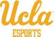 Изображение UCLA Esports Summer Invitational