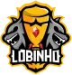 Изображение Copa Lobinho - Season 3