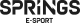 Изображение Springs E-Sport - Tournoi Online