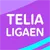 Изображение Telialigaen 2022 Autumn