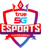 Изображение True5G Esports Tournament 2026