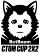 Изображение BetBoom ct0m Cup