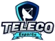 Изображение TELECO Esports 2025