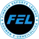Изображение Finnish Esports League Beacon Finnish Minor