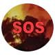 Изображение SOS Pantanal Charity Event